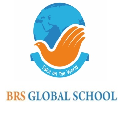 BRS Global